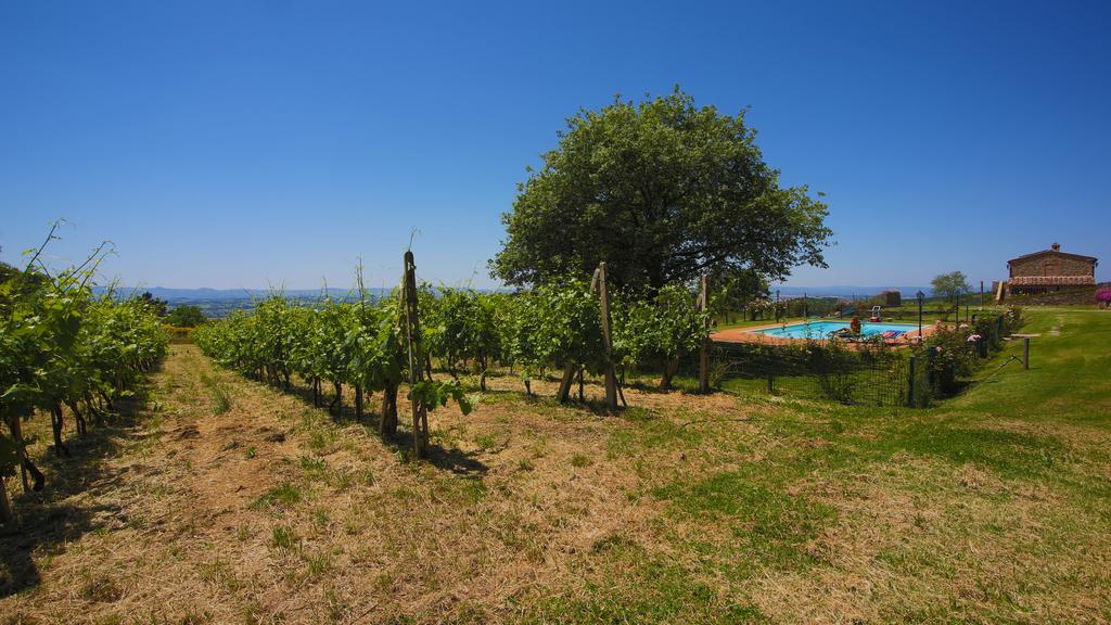 Tenuta Angelici Winery Casa Contea With Pool And Panoramic Pool Cortona Villa Terontola Bilik gambar